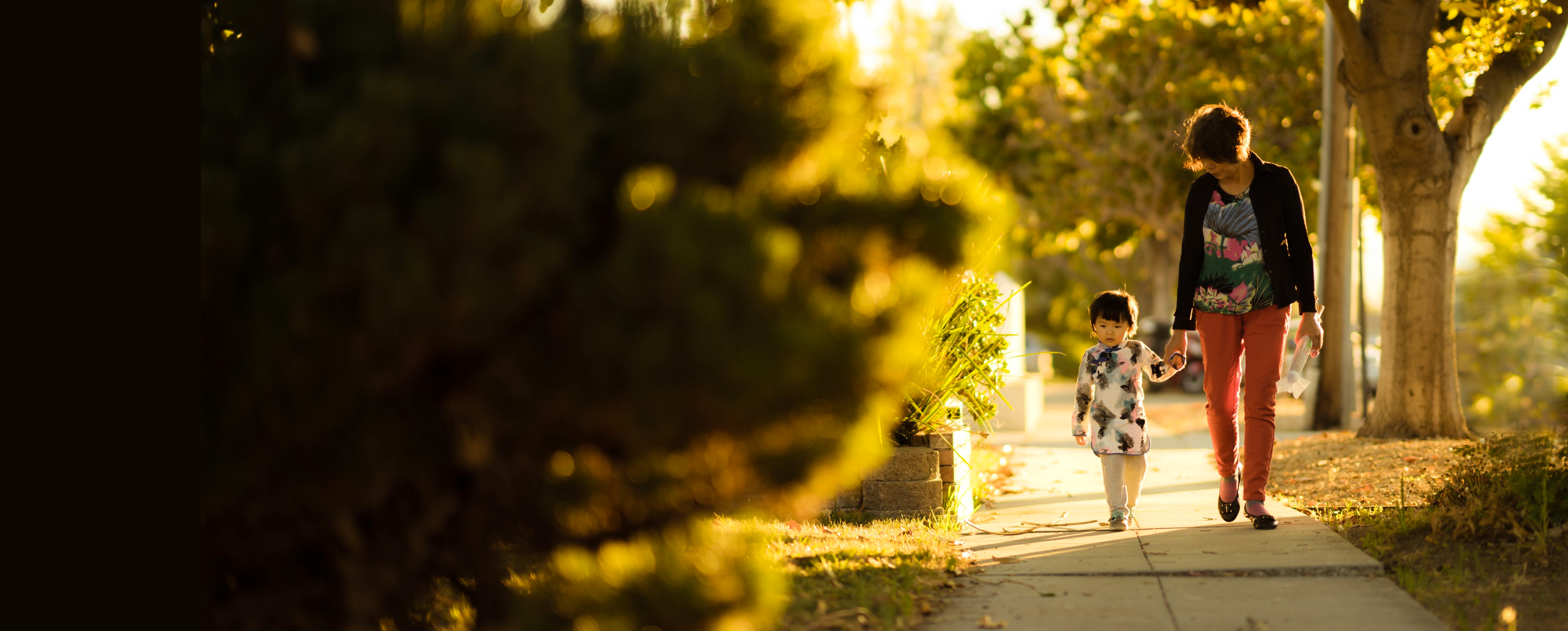 Advertising Guidelines